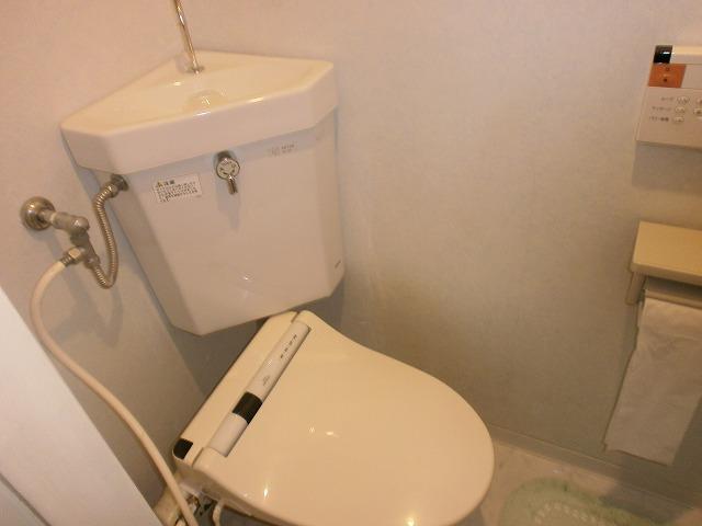 Toilet. It is your very beautiful