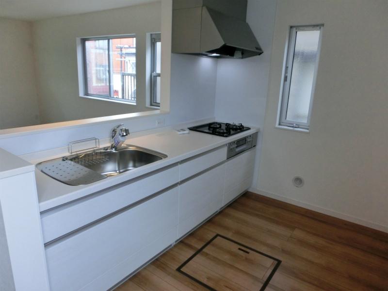 Kitchen. Indoor (12 May 2013) Shooting