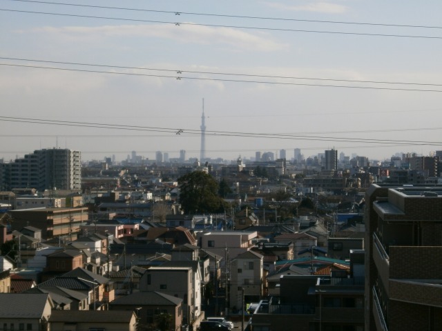 View. Views Sky tree in front