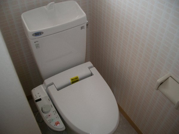 Toilet. Bidet