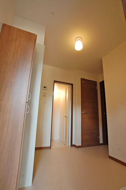 Other room space. Accent stylish door woodgrain feel the natural warmth
