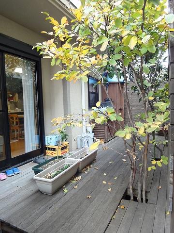 Other local. Is a wood deck that calm resort-style that is clean. Local (11 May 2013) Shooting