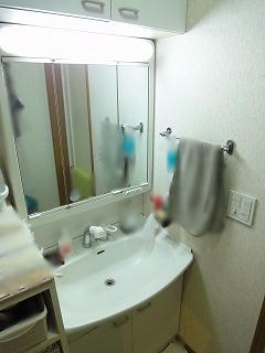 Wash basin, toilet. Vanity with shower