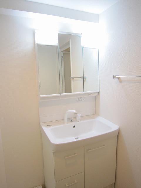 Wash basin, toilet. With a convenient shower bathroom vanity