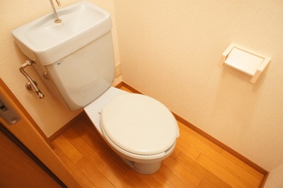 Toilet. Is the toilet outlet are installed