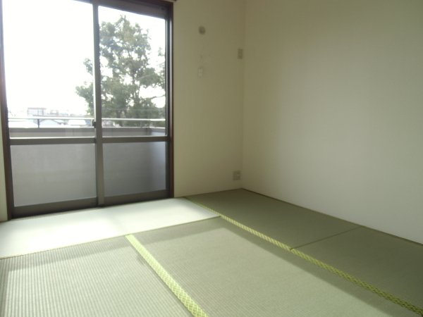 Other room space. Calm Japanese-style room