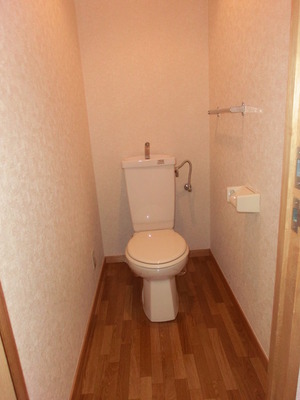 Toilet. It is a simple restroom of the towel with