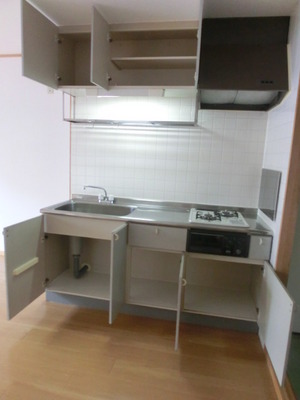 Kitchen. It is a two-burner stove system kitchen storage cabinet plenty