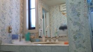 Wash basin, toilet. Indoor (12 May 2013) Shooting