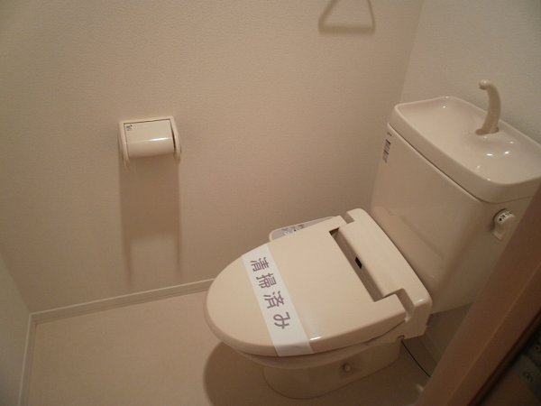 Toilet. Mirror is a photo of the same type. 