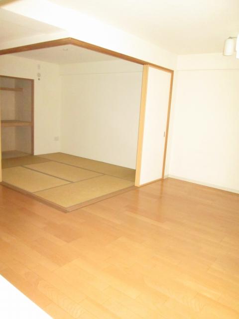 Living. Indoor (January 2014) Shooting