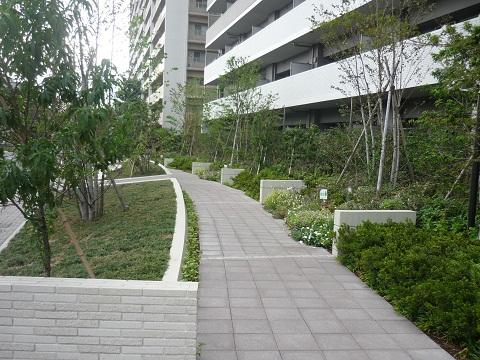 Other common areas. Green Promenade (self-management park)