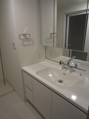 Washroom. Wash basin