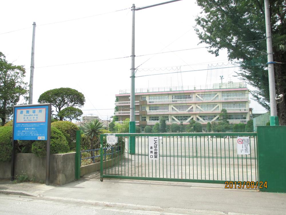 Primary school. Nizo until elementary school 260m