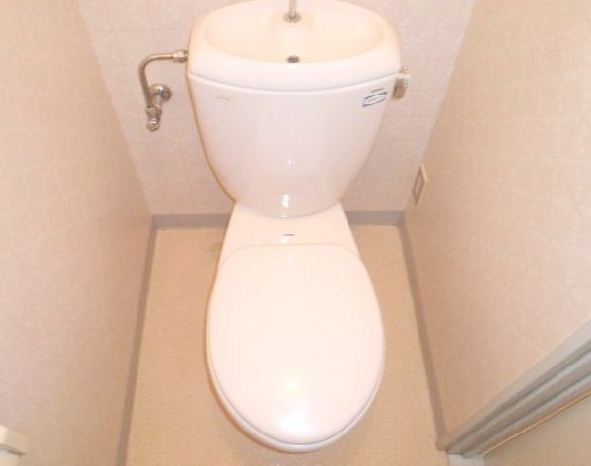 Toilet. You clean can be cleaned.