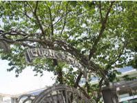 kindergarten ・ Nursery. Nishikawaguchi kindergarten (kindergarten ・ 682m to the nursery)