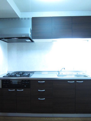 Kitchen. Stylish system Kitchen