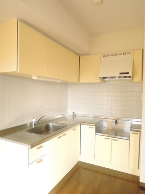 Kitchen. Dishes also be fun going in the L-shaped kitchen