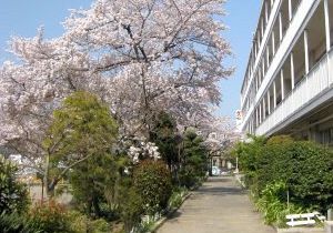 Primary school. 233m until Toda Municipal Kizawa elementary school (elementary school)