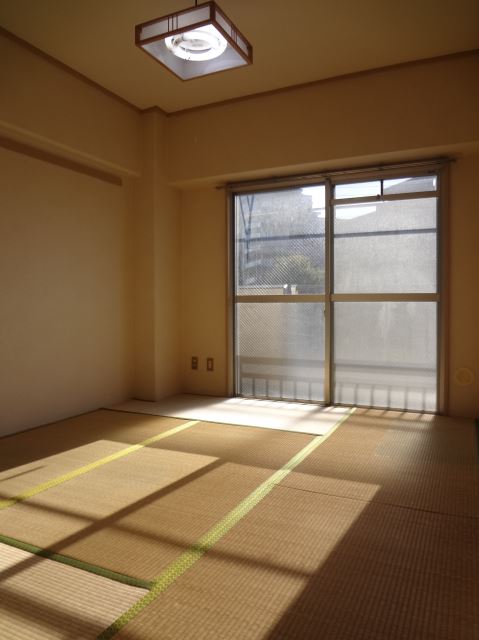 Living and room. Warm tatami rooms