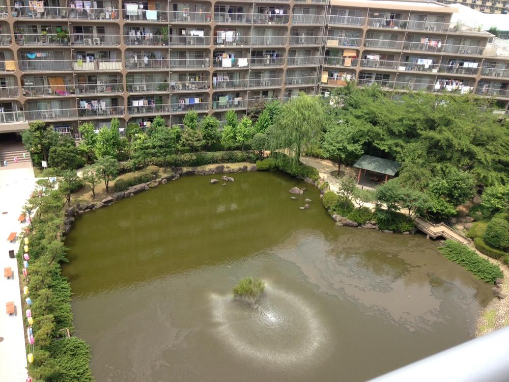 View photos from the dwelling unit. Overlook a pond in the grounds from the room.