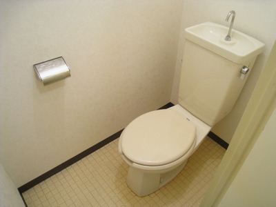 Toilet. It will settle down in the small and toilet