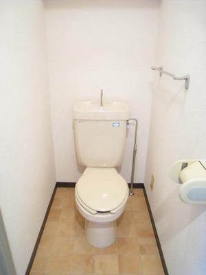Toilet. There is also a shelf for storage