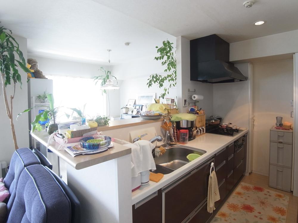 Kitchen. Indoor (July 2013) Shooting