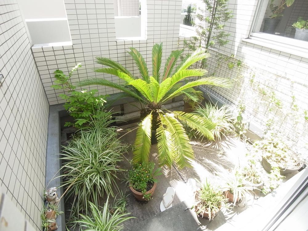 Other common areas. In the upper atrium patio (July 2013) Shooting
