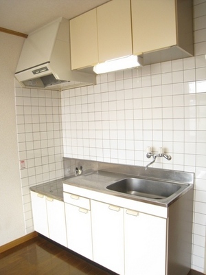 Kitchen. Gas stove installation Allowed