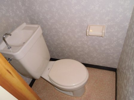 Toilet. Toilet