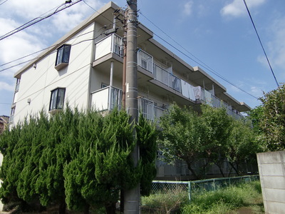 Building appearance