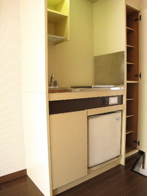 Kitchen. A small kitchen! With mini fridge!