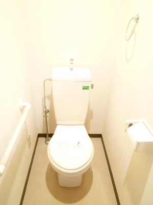 Toilet. Toilet with cleanliness