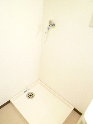 Washroom. Washing machine in the room