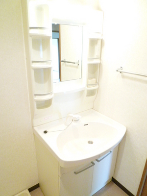 Washroom. Independent wash basin