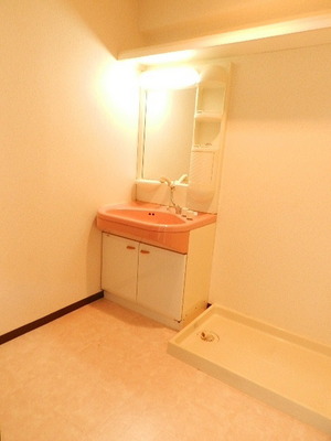 Washroom. Separate vanity Laundry Area