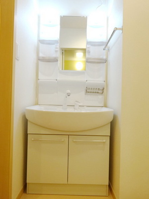 Washroom. Wash basin