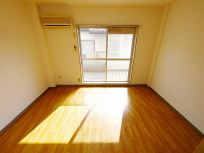 Living and room. A bright room