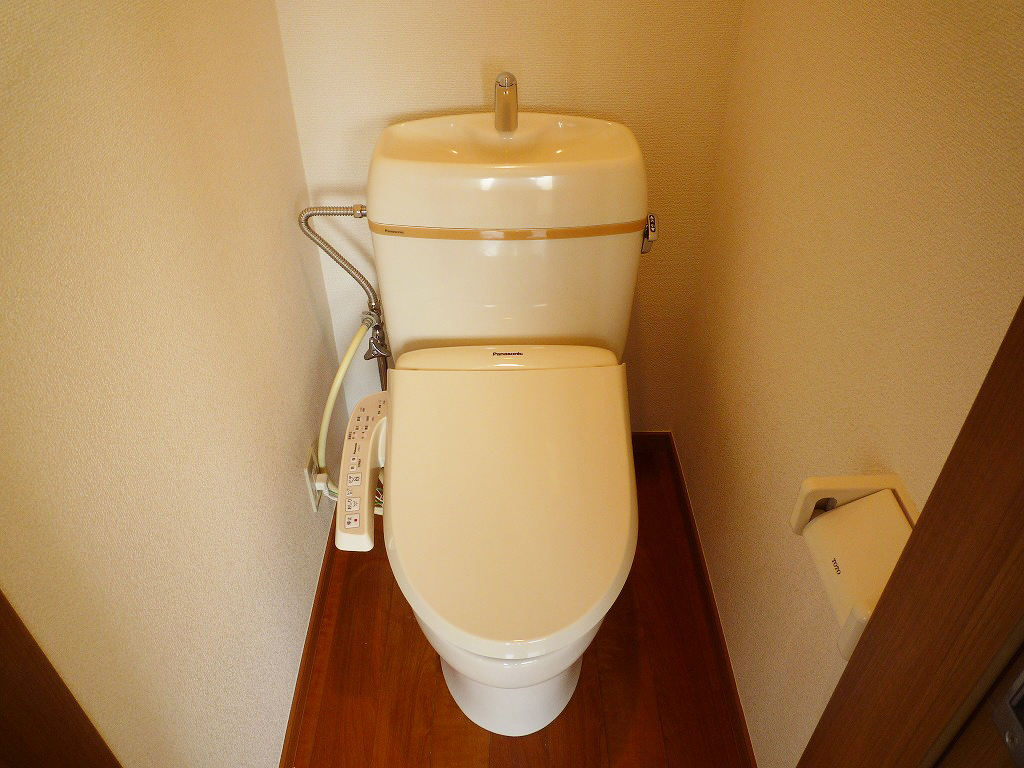 Toilet. Multi-function toilet of new