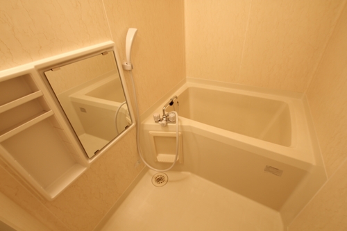 Bath. Clean bathroom