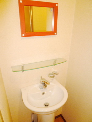 Washroom. Wash basin