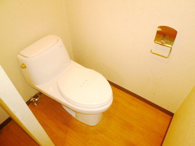 Toilet. Toilet with cleanliness
