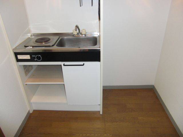Kitchen. Photo, It will be 302, Room.