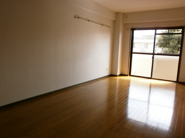 Living and room. Living