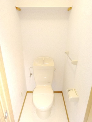 Toilet. Toilet with cleanliness