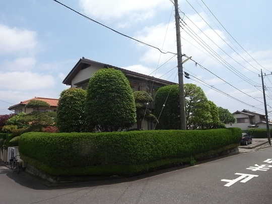 Local appearance photo