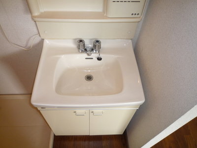 Washroom. Independent wash basin