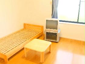 Living and room. The floor is also a carpet of the room.
