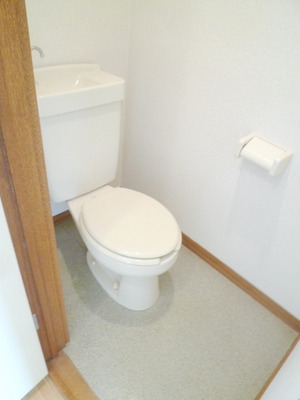 Toilet. Toilet